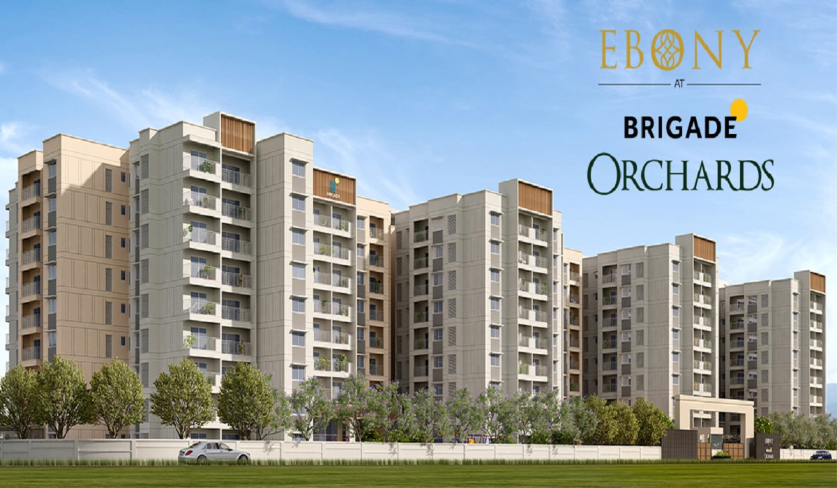 Ebony at Brigade Orchards in Devanahalli, Bangalore